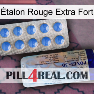 Étalon Rouge Extra Fort 39